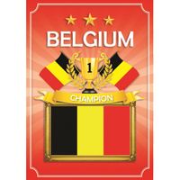 Deur poster thema Belgie   -