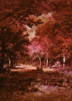 Noordwand Komar Ink Fotobehang Autumna Rosso - INX4-090