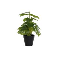 Decoratieve plant DKD Home Decor PVC Polypropyleen 20 x 20 x 30 cm