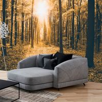Zelfklevend fotobehang -  Magisch Zonlicht in een bos  , Premium Print - thumbnail