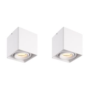 HOFTRONIC™ 2x Dimbare LED opbouw plafondspot Esto Wit incl. GU10 spot 5W 2700K IP20 kantelbaar