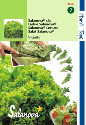 Salanova Virtuose Rz Groen wordt Vivanto RZ - Hortitops