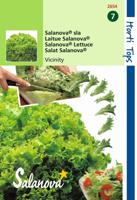 Salanova Virtuose Rz Groen wordt Vivanto RZ - Hortitops