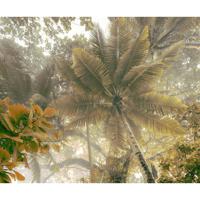 Fotobehang - Palms Panorama 300x250cm - Vliesbehang