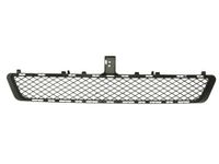 Ventilatiegrille, bumper 6502073529910P