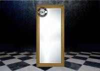 Barokspiegel® Made in Italy Spiegel Paride Antiekgoud