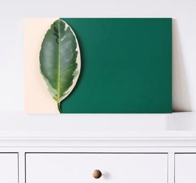 Canvas schilderij planten Modern verfbladontwerp