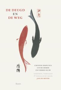 De deugd en de weg - Jan de Meyer - ebook