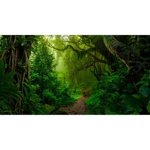 Inductiebeschermer - A Walk In The Jungle - 57.6x51.6 cm