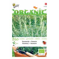 Buzzy - 5 stuks Organic Rozemarijn (Skal 14275) - thumbnail