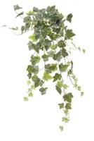 Kunst hangplant hedera l68cm bont header