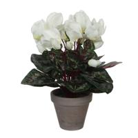 Mica Decorations Kunstplant - cyclaam - wit - in pot - 30 cm   -