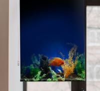 Dieren rolgordijnen Aquarium leven