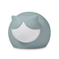 Kruik Kat Handwarmer - Original