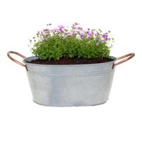 Plantenpot/bloempot teil Jean - ovaal - zink - zilver - L27 x D18 X H12 cm - thumbnail