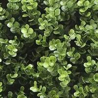 Kunstplanten mat 50x50 cm buxus Buitengewoon de Boet - Buitengewoon de boet