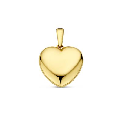 14k Geelgouden Hanger in Hartvorm - Een Tijdloos Symbool van Liefde en Verbondenheid