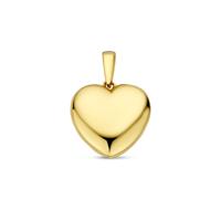 14k Geelgouden Hanger in Hartvorm - Een Tijdloos Symbool van Liefde en Verbondenheid