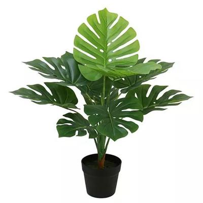Monstera 70 cm kunstplant - Buitengewoon de boet