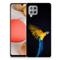 Samsung Galaxy A42 | TPU Hoesje | Papegaai