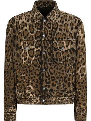 Dolce & Gabbana veste en jean à imprimé léopard - Marron