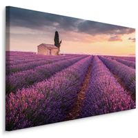Schilderij - Lavendelveld bij zonsondergang, paars, 4 maten, wanddecoratie - thumbnail