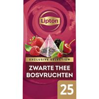 Thee lipton exclusive bosvruchten 25x2gr