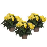 3x stuks gele Begonia kunstplant 30 cm in grijze pot