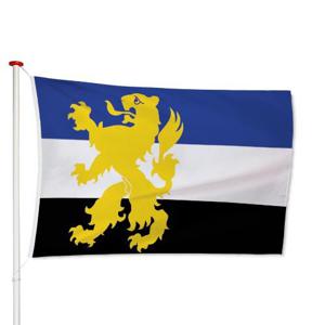 Vlag Hilvarenbeek