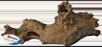 Superfish Forest Deco Wood Log hout large