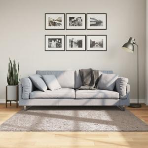 VidaXL Vloerkleed pamplona shaggy hoogpolig modern 160x160 cm beige