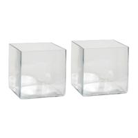 Vaas - 2x - vierkant - transparant - glas - 20 cm - Accubak - Glazen vazen - Woonaccessoires