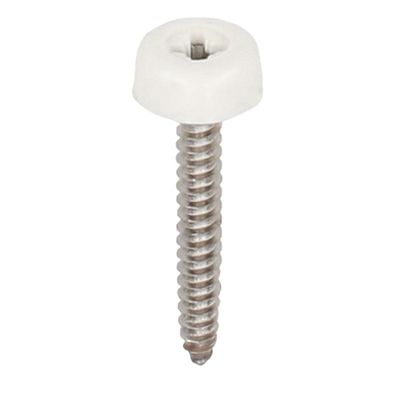 Polytop schroeven RVS 40mm Verkeerswit - Heering (100 st) (2694)