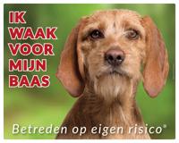 Basset Fauve de Bretange Waakbord