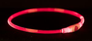Flash lichthalsband 65 cm rood voor de hond 3 stuks