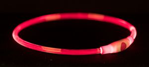 TRIXIE HALSBAND USB FLASH LIGHT LICHTGEVEND OPLAADBAAR ROOD 65X0,8 CM