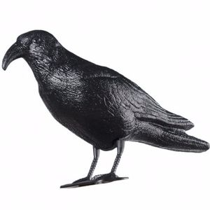 Vogelverschrikker/ duivenverjager raaf/zwarte kraai van plastic    -