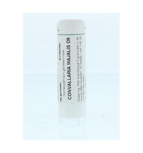 Convallaria majalis D6