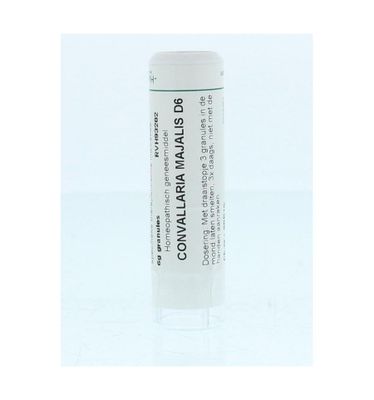 Convallaria majalis D6