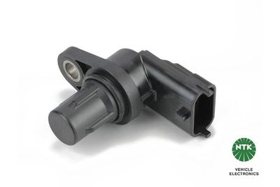 Nokkenassensor 81066