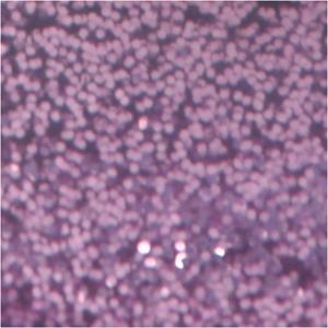 Creativ Company Glitterlijm paars, 25ml