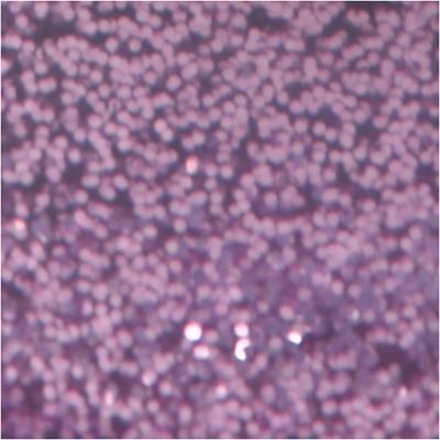 Creativ Company Glitterlijm paars, 25ml