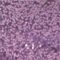 Creativ Company Glitterlijm paars, 25ml