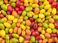 Kindly&apos;s Rozijnengrind (4 Kilogr)