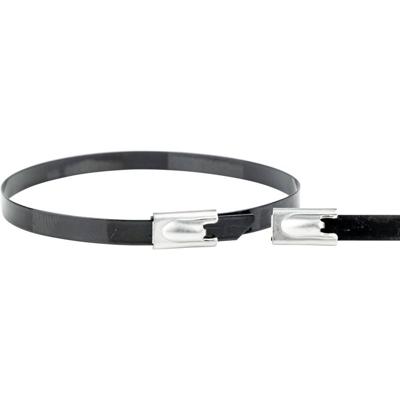 WKK ART006293 RVS-kabelbinder 680 mm 7.60 mm Zwart 1 stuk(s)