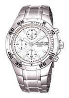 Horlogeband Seiko PL8003X1 / VD67-X002 Staal