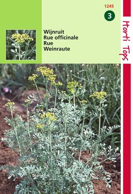 HT Wijnruit - Hortitops HT Wijnruit - Hortitops