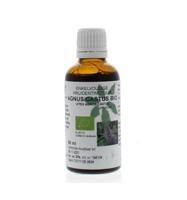 Vitex agnus castus fruct tinctuur bio