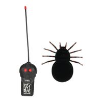 Rc Jungle expedition creepy spin