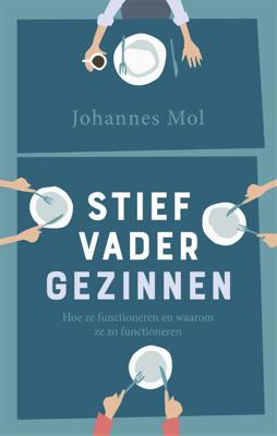 Stiefvadergezinnen (Paperback)